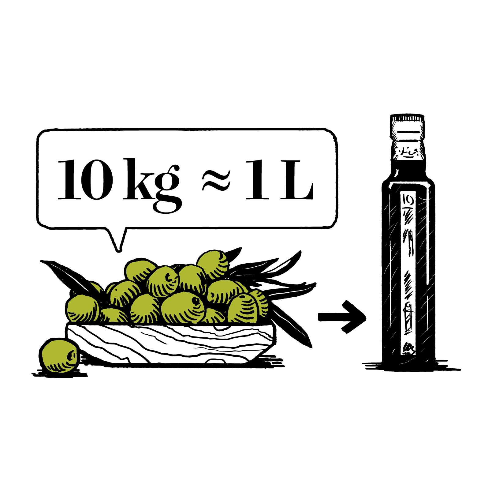 oliven10kg